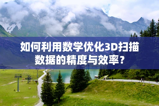 如何利用数学优化3D扫描数据的精度与效率？