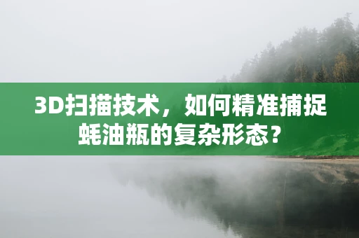 3D扫描技术，如何精准捕捉蚝油瓶的复杂形态？