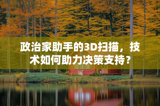 政治家助手的3D扫描，技术如何助力决策支持？