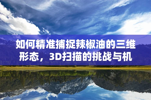 如何精准捕捉辣椒油的三维形态，3D扫描的挑战与机遇？