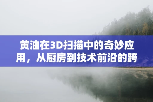 黄油在3D扫描中的奇妙应用，从厨房到技术前沿的跨界探索