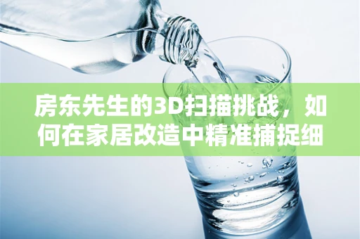 房东先生的3D扫描挑战，如何在家居改造中精准捕捉细节？