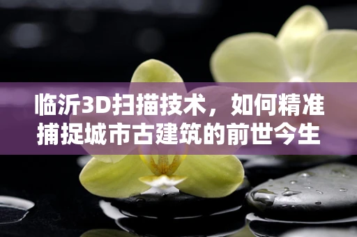 临沂3D扫描技术，如何精准捕捉城市古建筑的前世今生？