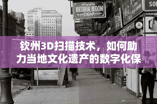 钦州3D扫描技术，如何助力当地文化遗产的数字化保护？