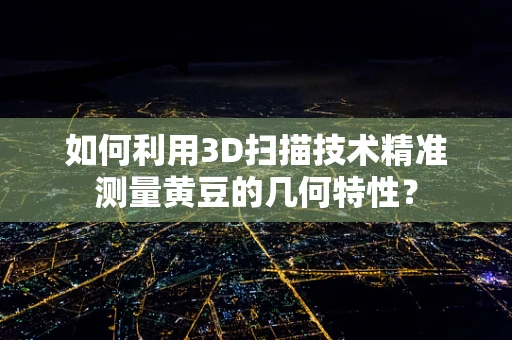 如何利用3D扫描技术精准测量黄豆的几何特性？