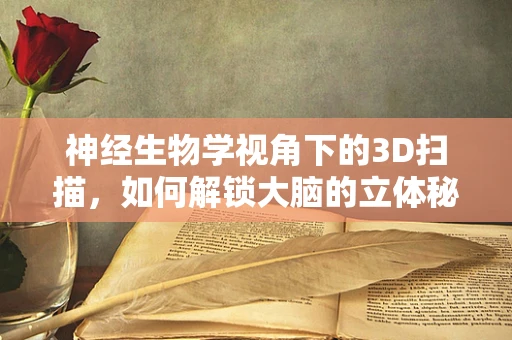 神经生物学视角下的3D扫描，如何解锁大脑的立体秘密？