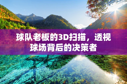 球队老板的3D扫描，透视球场背后的决策者