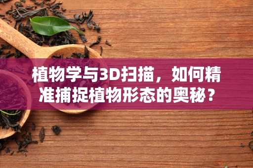 植物学与3D扫描，如何精准捕捉植物形态的奥秘？