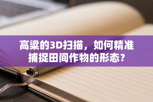 高粱的3D扫描，如何精准捕捉田间作物的形态？