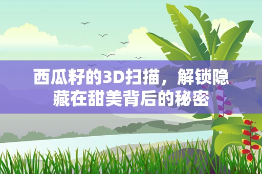 西瓜籽的3D扫描，解锁隐藏在甜美背后的秘密