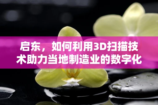 启东，如何利用3D扫描技术助力当地制造业的数字化转型？