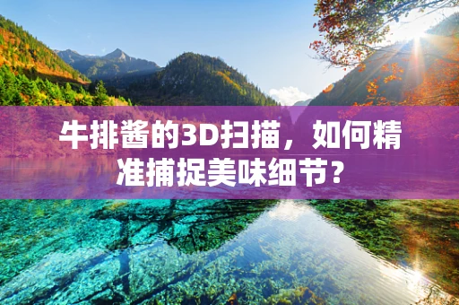 牛排酱的3D扫描，如何精准捕捉美味细节？