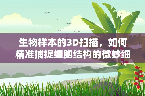 生物样本的3D扫描，如何精准捕捉细胞结构的微妙细节？