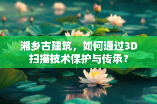 湘乡古建筑，如何通过3D扫描技术保护与传承？