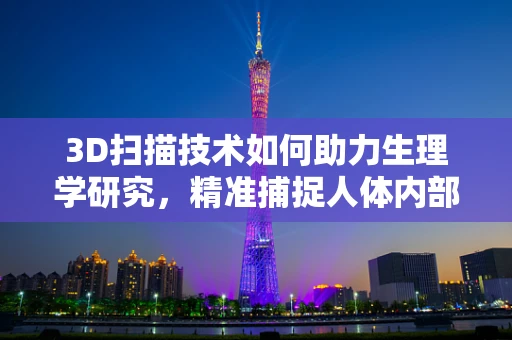 3D扫描技术如何助力生理学研究，精准捕捉人体内部结构的新视角？