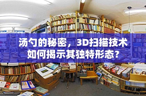 汤勺的秘密，3D扫描技术如何揭示其独特形态？