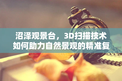 沼泽观景台，3D扫描技术如何助力自然景观的精准复原？