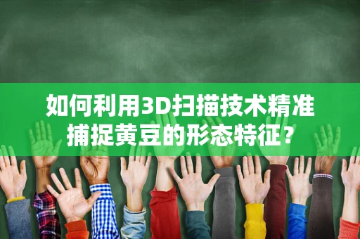 如何利用3D扫描技术精准捕捉黄豆的形态特征？