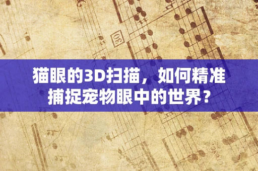 猫眼的3D扫描，如何精准捕捉宠物眼中的世界？