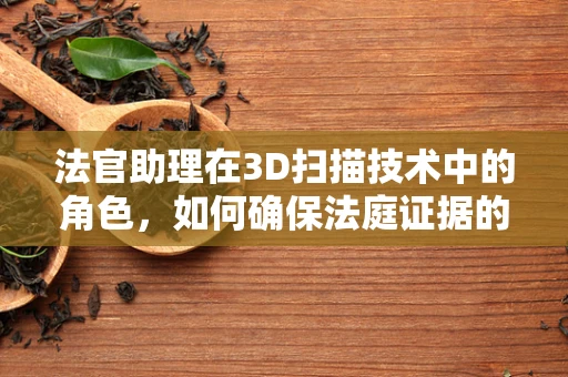 法官助理在3D扫描技术中的角色，如何确保法庭证据的准确性和公正性？