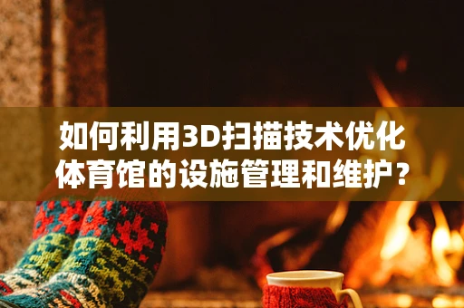 如何利用3D扫描技术优化体育馆的设施管理和维护？