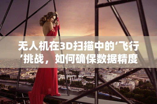 无人机在3D扫描中的‘飞行’挑战，如何确保数据精度与安全？