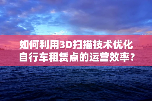 如何利用3D扫描技术优化自行车租赁点的运营效率？