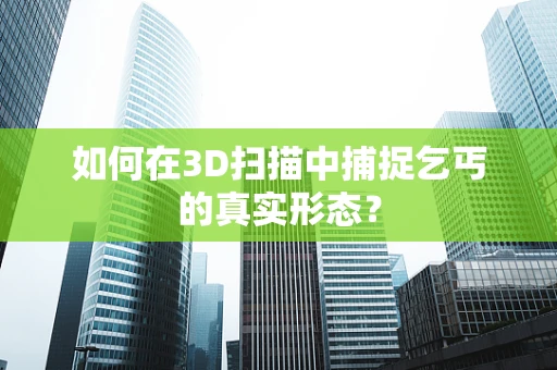 如何在3D扫描中捕捉乞丐的真实形态？