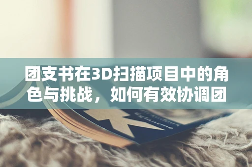 团支书在3D扫描项目中的角色与挑战，如何有效协调团队，确保数据精度？
