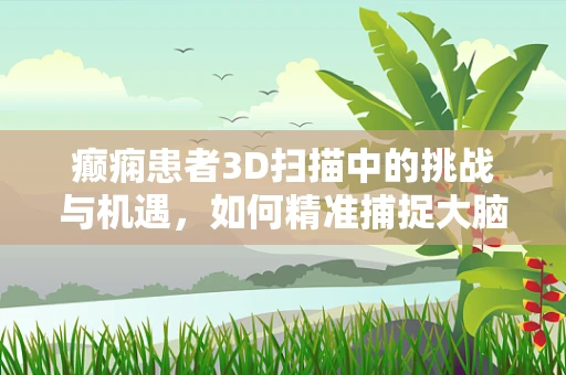 癫痫患者3D扫描中的挑战与机遇，如何精准捕捉大脑动态？