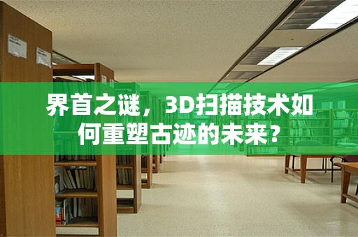 界首之谜，3D扫描技术如何重塑古迹的未来？