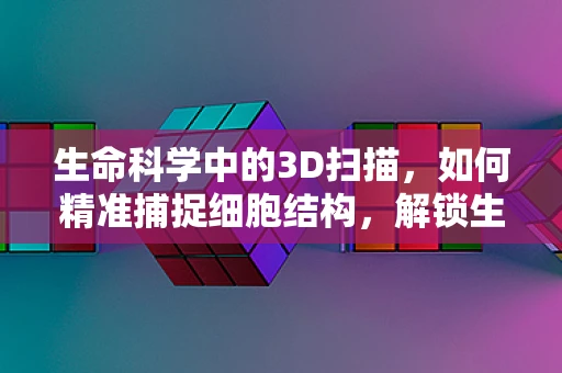 生命科学中的3D扫描，如何精准捕捉细胞结构，解锁生物奥秘？
