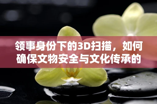领事身份下的3D扫描，如何确保文物安全与文化传承的双重保障？