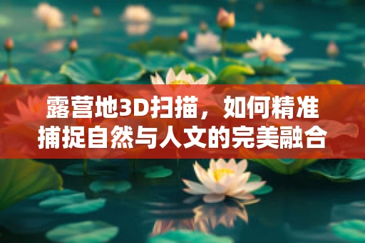 露营地3D扫描，如何精准捕捉自然与人文的完美融合？