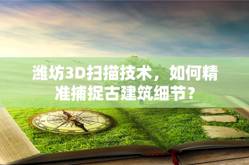 潍坊3D扫描技术，如何精准捕捉古建筑细节？