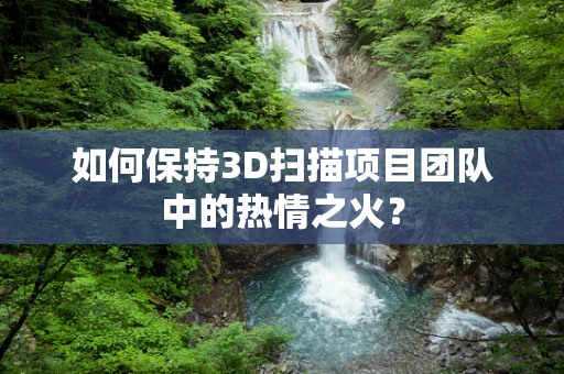 如何保持3D扫描项目团队中的热情之火？