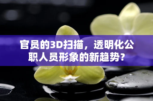 官员的3D扫描，透明化公职人员形象的新趋势？