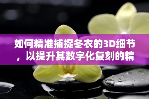 如何精准捕捉冬衣的3D细节，以提升其数字化复刻的精度？
