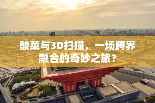 酸菜与3D扫描，一场跨界融合的奇妙之旅？