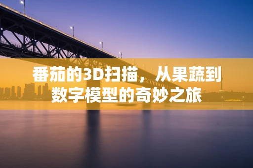 番茄的3D扫描，从果蔬到数字模型的奇妙之旅
