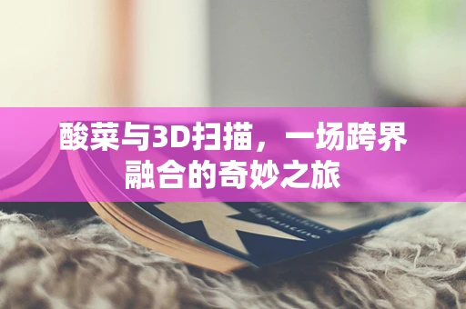 酸菜与3D扫描，一场跨界融合的奇妙之旅