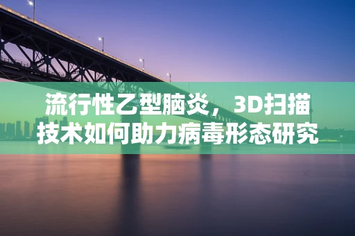流行性乙型脑炎，3D扫描技术如何助力病毒形态研究？
