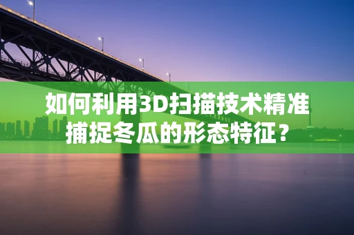 如何利用3D扫描技术精准捕捉冬瓜的形态特征？