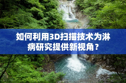 如何利用3D扫描技术为淋病研究提供新视角？