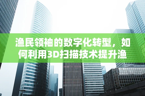 渔民领袖的数字化转型，如何利用3D扫描技术提升渔村管理效率？