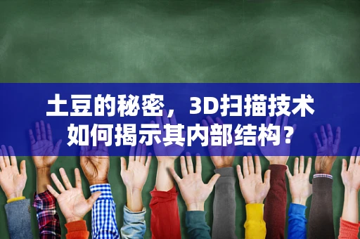 土豆的秘密，3D扫描技术如何揭示其内部结构？