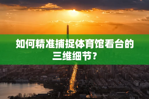 如何精准捕捉体育馆看台的三维细节？
