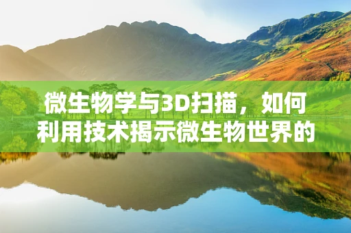 微生物学与3D扫描，如何利用技术揭示微生物世界的奥秘？