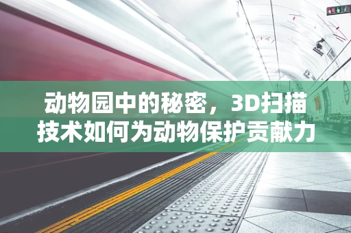 动物园中的秘密，3D扫描技术如何为动物保护贡献力量？