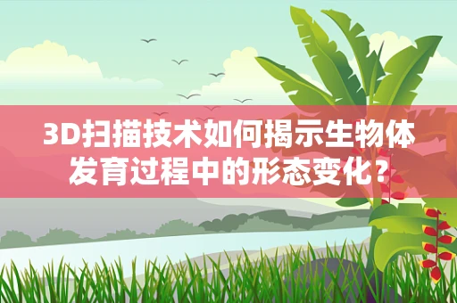 3D扫描技术如何揭示生物体发育过程中的形态变化？